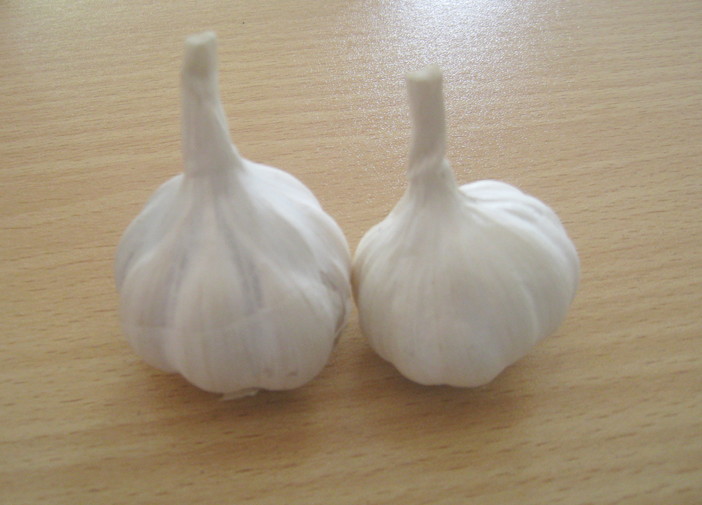 Health benefits of Garlic