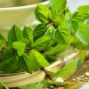 Mint Benefits: 9 Unbelievable Health Benefits Of Mint Or Pudina You Must Know